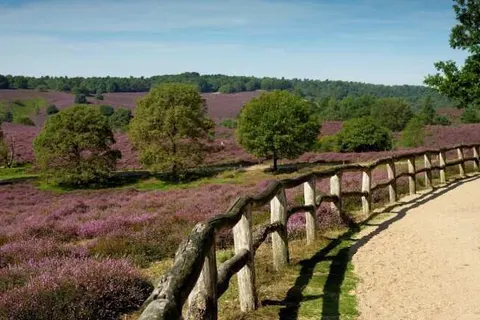 Boutique Hotel Beekhuizen foto 26