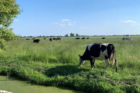 Camping de Grienduil foto 8