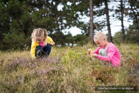 Camping Loodsmansduin foto 20