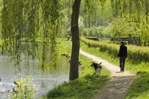 Merici Hotel Sittard foto 19