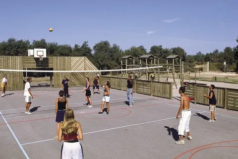 Camping La Palmeraie foto 3