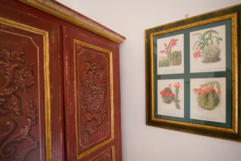 Botanico San Lazzaro in Maiori — foto 22