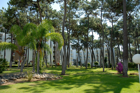 AluaSun Marbella Park foto 22