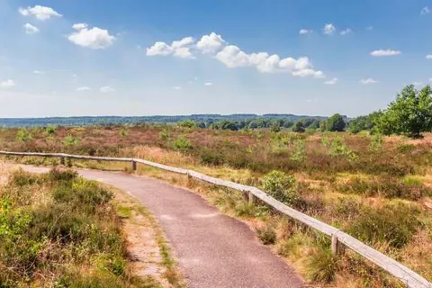 Bed and Breakfast Het Vinkenest foto 25