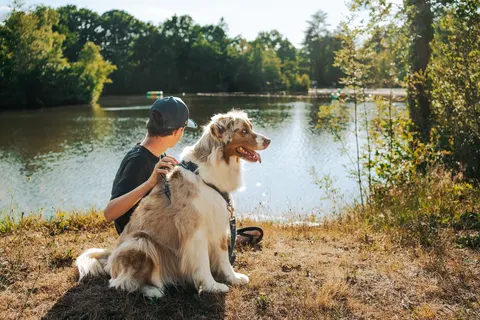 L Etang De Sologne in Nouan-le-Fuzelier — foto 8