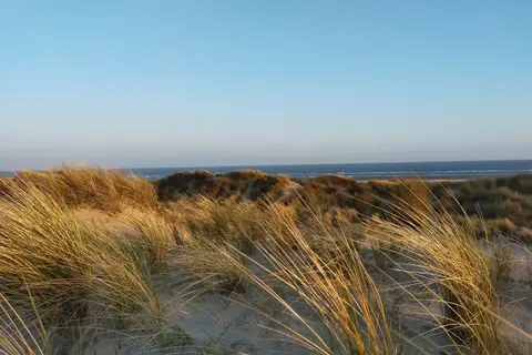 Camping Beachside in Blankenberge — foto 9