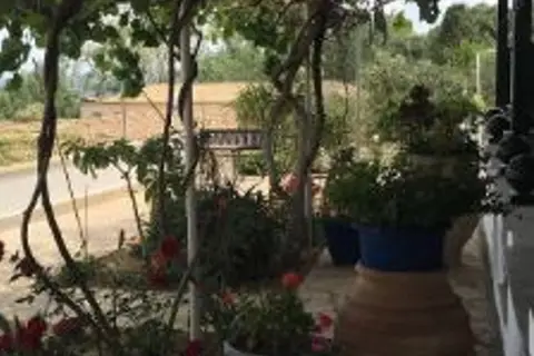 Andromaches Holiday Apartments in Aloni Corfu Benitses, foto 5