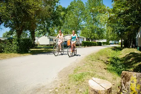 Camping Le Domaine De Beaulieu in Givrand, foto 12