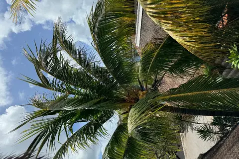 Hotel Kin Ha Tulum in Cancún, foto 22