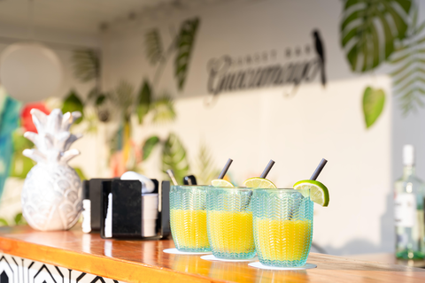 HOVIMA Jardín Caleta foto 7