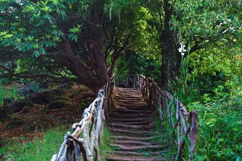 10 daagse fly drive Romantisch Madeira foto 1