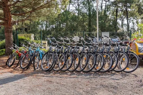 Camping Le Bois De La Gachère foto 23
