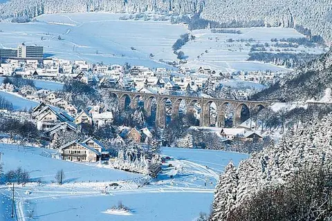 Pension Robin Hood foto 31