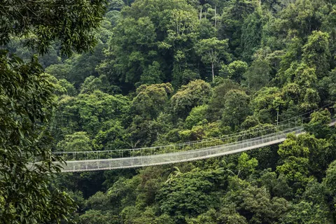 De verborgen schatten van Java en Bali foto 12