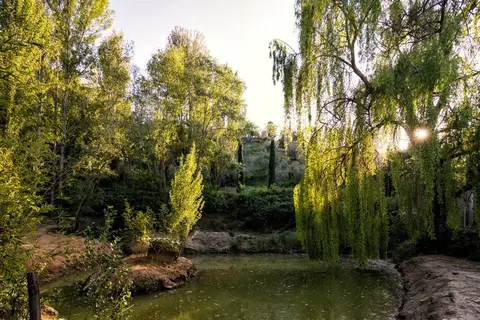 Il Poggio degli Olivi in Bettona — foto 7