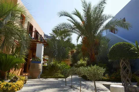 Iapetos Hotel in Ano Symi, foto 5