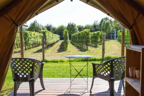 Vodatent Camping de Boomgaard in Maaseik — foto 8