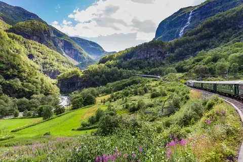 Discover Norway's Nature by Train foto 6