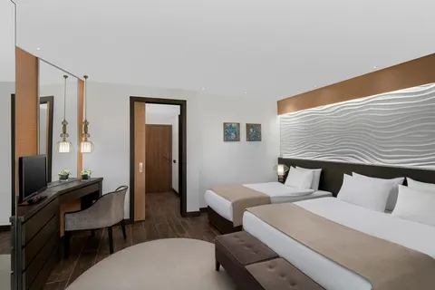 Papillon Belvil foto 2