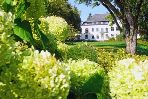 Dorint Parkhotel Siegen foto 12