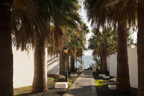 Bungalows Sandos Atlantic Gardens - adults only foto 7