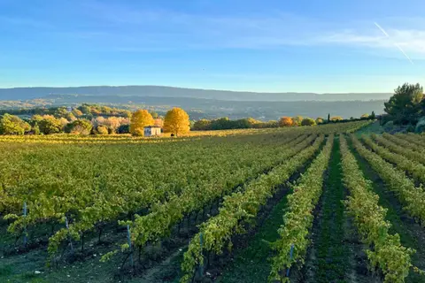 Les Chênes Blancs in Saint-Saturnin-lès-Apt — foto 14