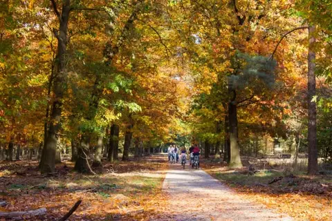 Herberg de Zwaan Elspeet in Elspeet — foto 23