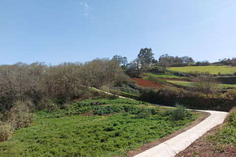 Finca Natura Canaria foto 35
