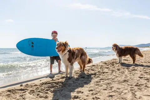 Camping Le Marze foto 33