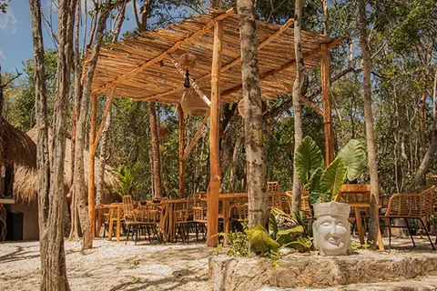 The Yellow Nest in Manuel Antonio Ay, foto 28