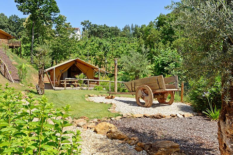 Casa Fontelheira foto 8