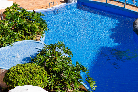 HOVIMA Jardín Caleta foto 2