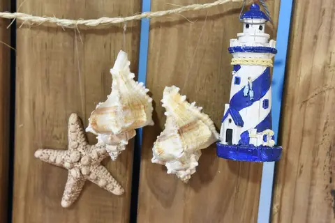 Tinoca in Las Palmas — foto 11