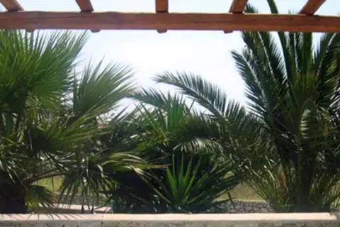 Giannoulaki Hotel in Μύκονος — foto 7