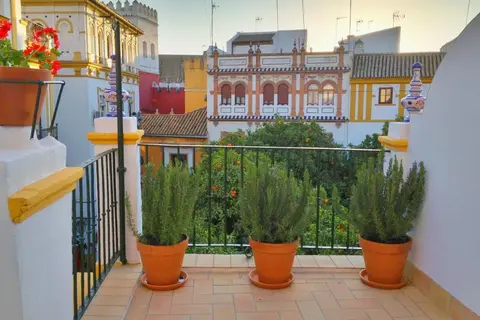 Hotel Boutique Elvira Plaza in Sevilla, foto 10