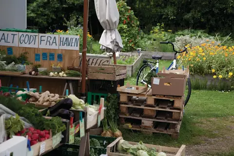 Ontdek Denemarken in Denemarken, Jutland en de Deense eilanden — foto 13
