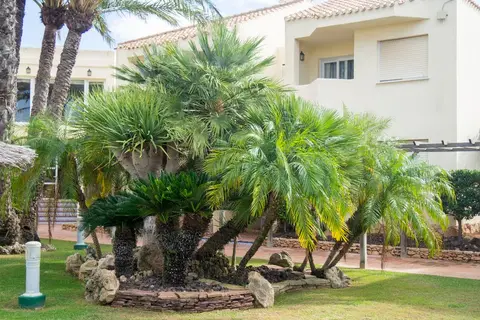 Villas la Manga in San Javier — foto 11