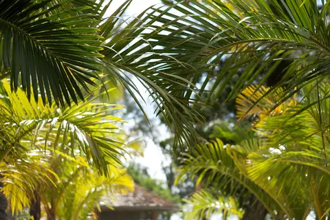 Hôtel Le Récif in Douala