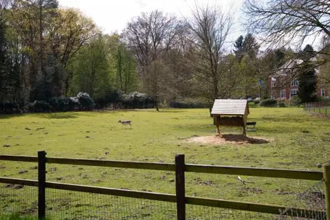 Hotel Spelderholt foto 17