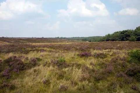 Otium Wellness Hotel foto 46