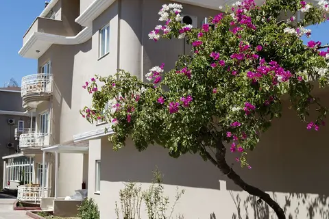 Club Wasa Holiday Village in Alanya — foto 5