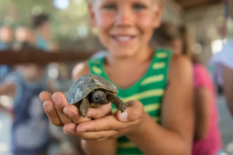 Camping Village Florenz foto 7