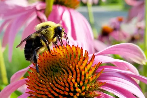Appartementen Resort Tirol Brixen am Sonnenplateau foto 21