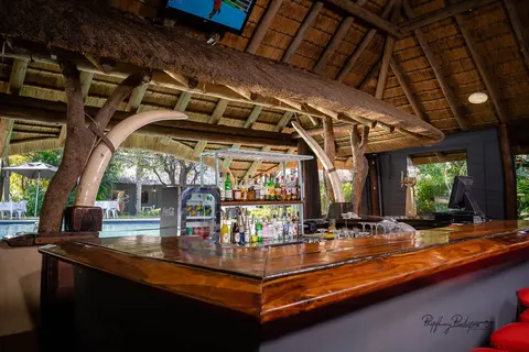 Ultimate Safari Experience - Sefapane Lodge in Pretoria — foto 16