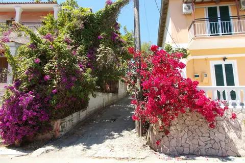 Kavos Fantasia Complex in Δημοτική Ενότητα Λευκιμμαίων — foto 6
