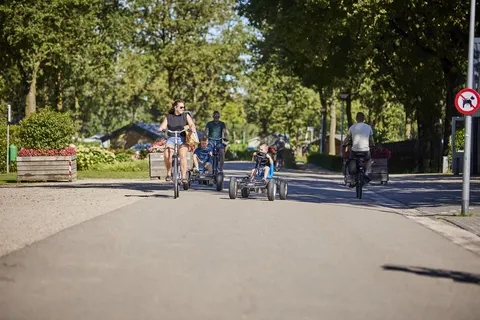 Camping De Leistert foto 11