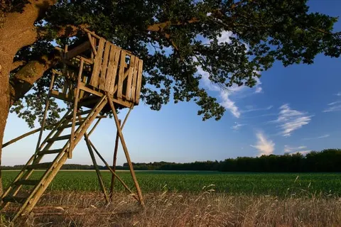 Ringhotel Forellenhof foto 33