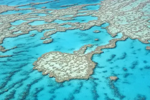 The Ultimate East Coast Experience in Sydney — foto 6