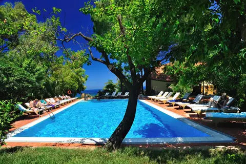 Alberi del Paradiso in Cefalu — foto 3