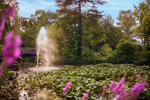 Center Parcs Erperheide in Peer — foto 28